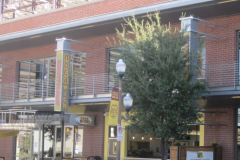 JQY_img8284jpg_crop_1447510312-1
