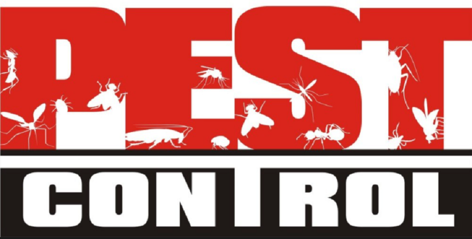 Phoenix Pest Control Business for Sale, Residential and Commercial Sunbelt Business Brokers